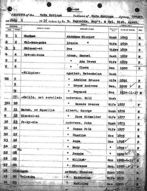 us indian census rolls